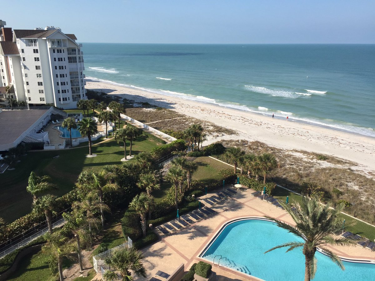 Kiwiz's tweet image. Good morning