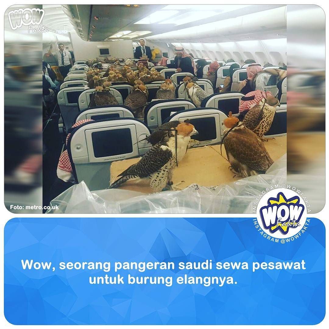 kontenwow's tweet photo. https://t.co/iYifr5EzUd [#wowfakta] Sedih rasanya ketika kita mengetahui bahwa beberapa hewan peliharaan menjalani … https://t.co/aiEl6EPm5K