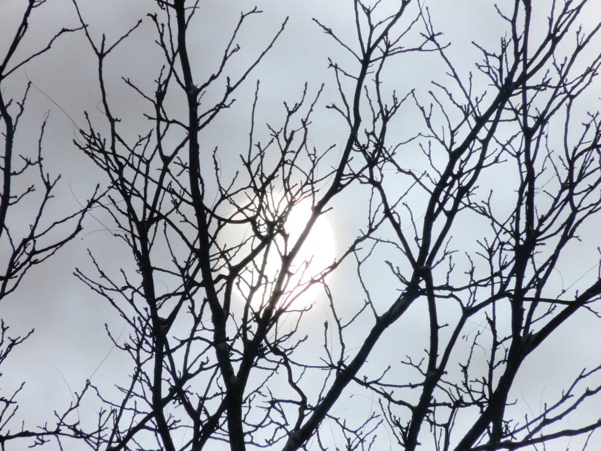 PLKlein_Author's tweet image. "What people say you cannot do, you try and find that you can." ~ #HenryDavidThoreau #QuickQuotes #CannotDo #YouCan