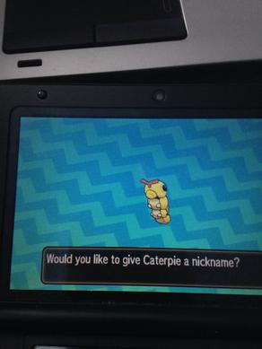 itwisted61's tweet photo. Got A Shiny Caterpie In 178 Encounters https://t.co/aeTonfIyPj