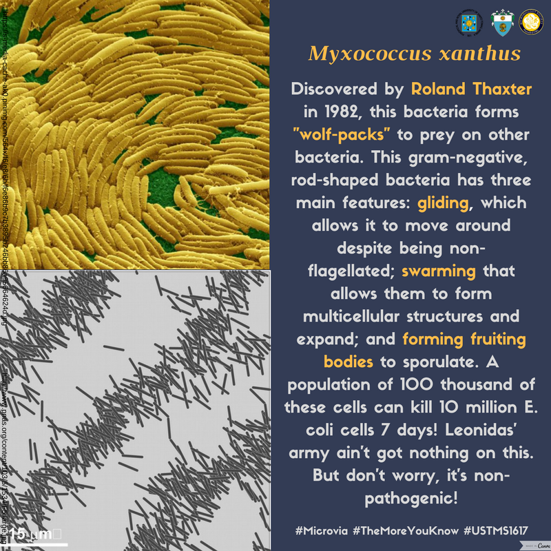 UST_MicroSoc's tweet photo. #Microvia #TheMoreYouKnow #USTMS1617 https://t.co/EDvF73fLkr