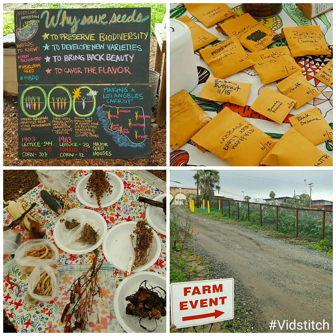 califarmer_andy's tweet photo. Seed swap going on at Farm Lot 59. We're here till 11am. #longbeach #lbc https://t.co/oZClP0FlWS