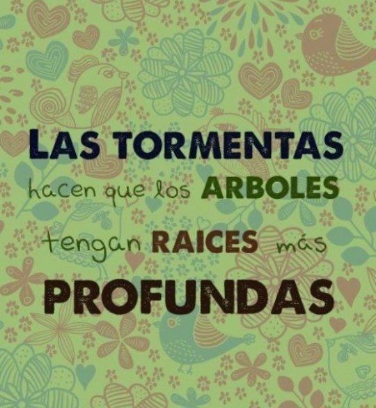 aguuussvila's tweet photo. https://t.co/9bkguxQZPi
