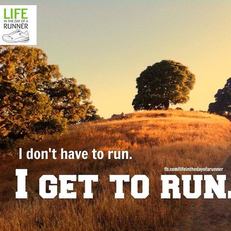 FootForwardSp's tweet image. Lucky us! We GET to #run today!

#runners #runfit #fitness

footforwardsports.com