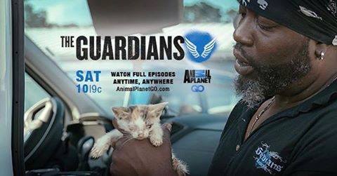 Guardians of Rescue (@GORSavesThem) | Twitter Guardians of Rescue (@GORSavesThem) | Twitter