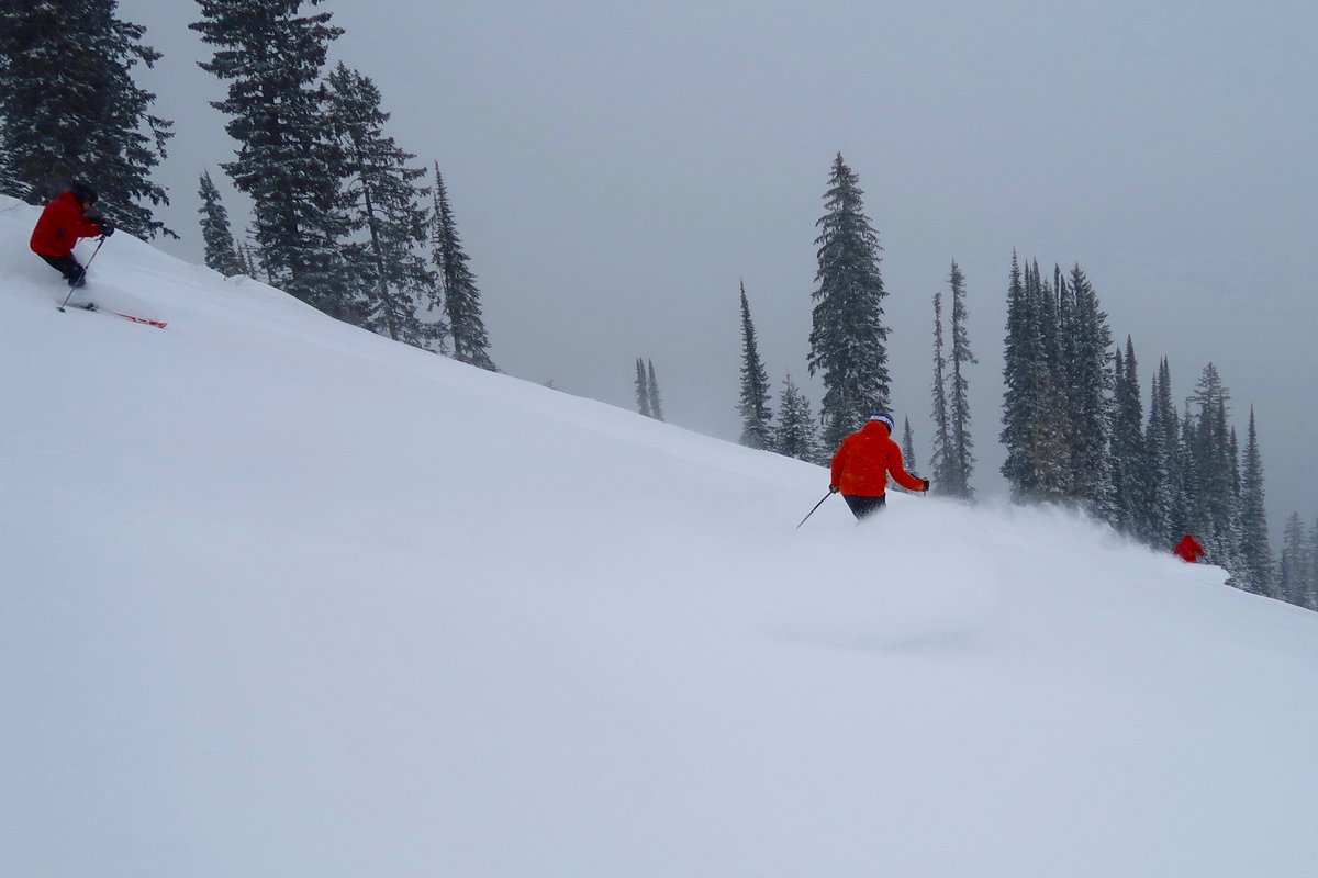 SkiFernie's tweet photo. 14cm of #powder for breakfast! More on the way!! #powderhighway #letitsnow #morepowderplease @TourismFernie @PowderHighway @PowderMatt https://t.co/nGAz3zrsym