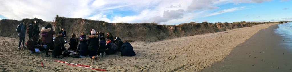 DWS_Geog's tweet photo. Studland Sand Dunes #fieldwork #littlebitofmarram https://t.co/9OUu2JiYP9