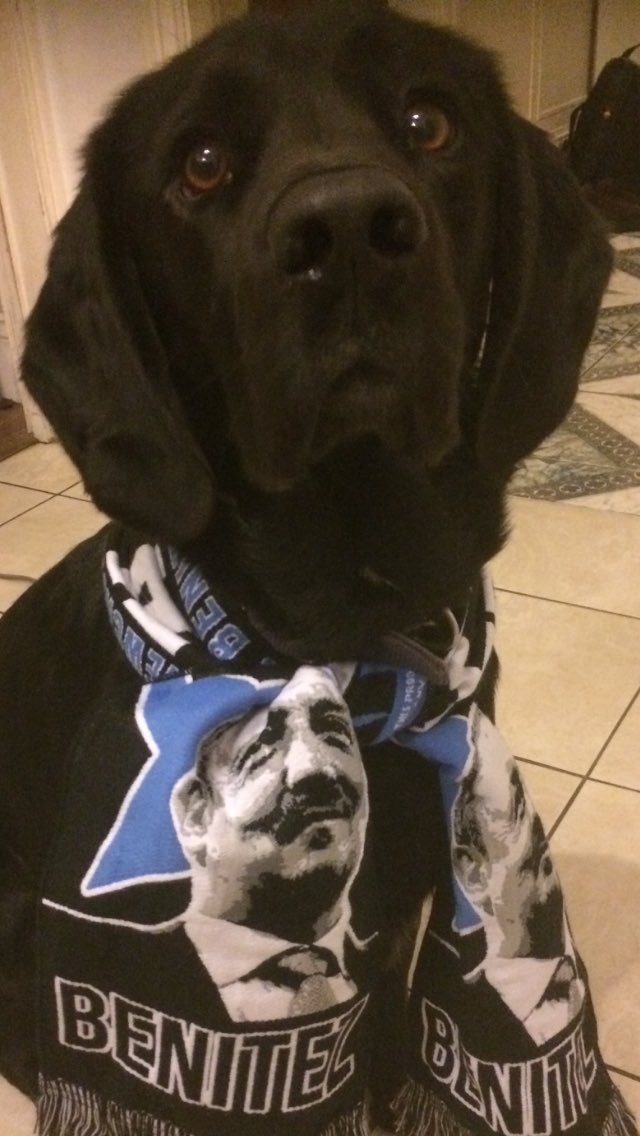 Cmr72Rowe's tweet photo. #rafadog Bobby loves a good #nufc win. https://t.co/9WAKej0Gls