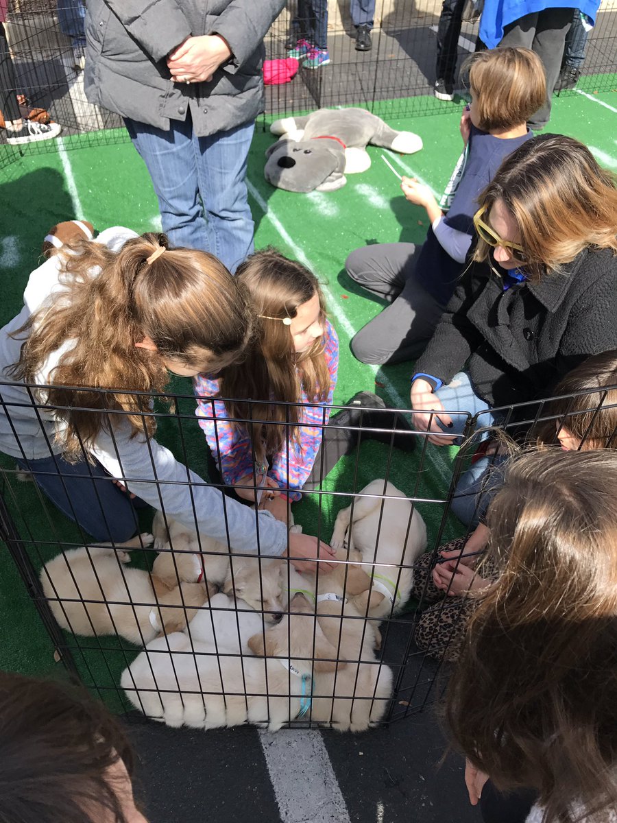 CoastalPETM's tweet photo. Lots of super cute puppies at @PetSmart1250 in Mt Pleasant at #PupBowl2017 with @Adoptatcas #PetSmartEvents @jeffaburleson @DarinFarmerPETM https://t.co/MvvRPFLHum