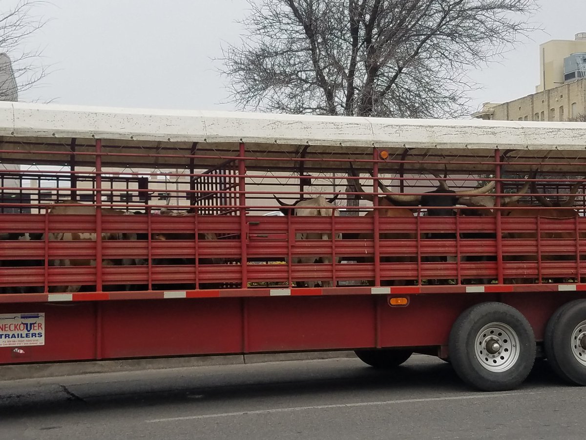 meatweeksatx's tweet photo. Cuz it's @meatweeksatx  and @SanAntonioRodeo ! https://t.co/y1JymWWaJr