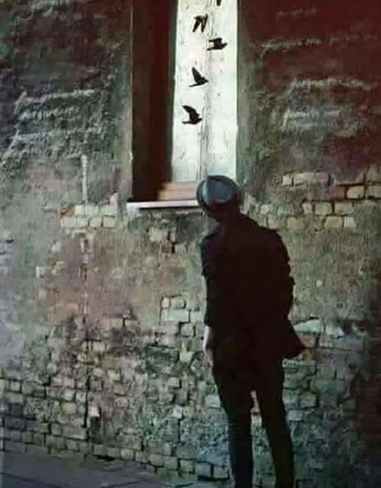 هاي الناس؟

        #مثل الطير ..يوميه
             بحظن شجره