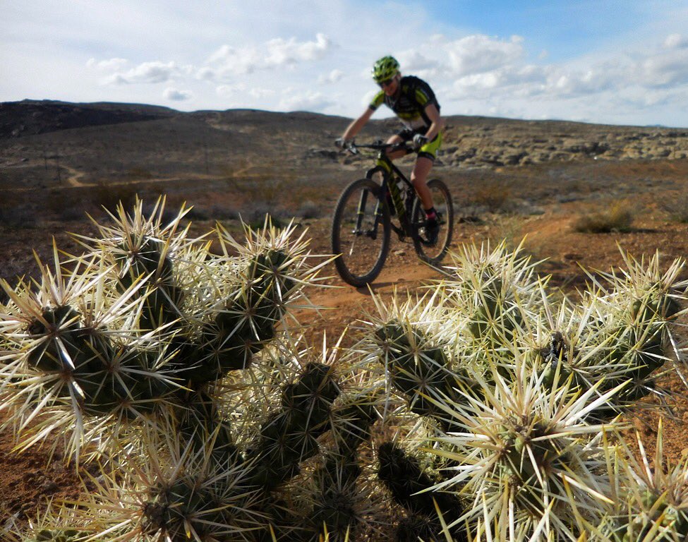 JeffKerkove's tweet photo. The desert 🌵 Where everything wants to kill you 😬 #ErgonBike #bicyclepractice #mtb https://t.co/SYhqXZveeP