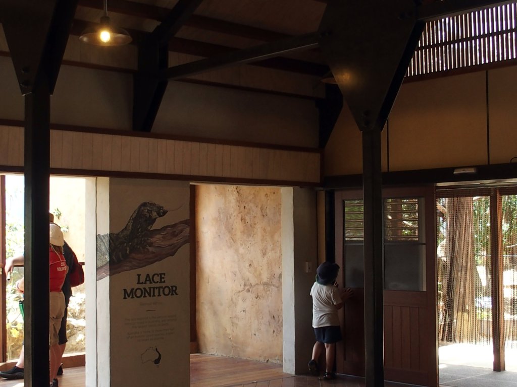 Zoo Soc Auckland  tweet media