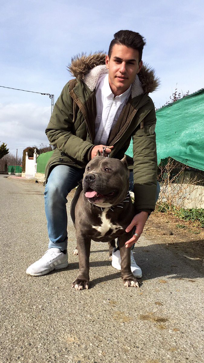 Andrea98SR's tweet photo. Parte de mi 👫🐶💞 https://t.co/qMDK0tjEow