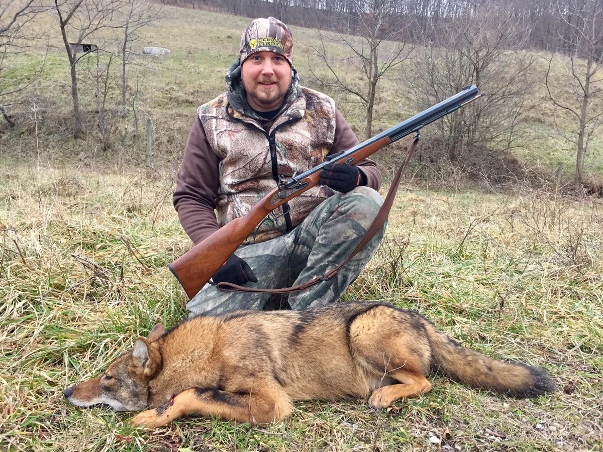 Got this picture sent to me by a friend said it was killed in greene co but doesnt look like a yote dont know where the pic is from ?