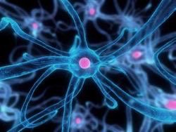 andrei_haisan's tweet photo. Are life beings actually mortal? https://t.co/jN2EdTkWsn https://t.co/ymOMMUkD6W