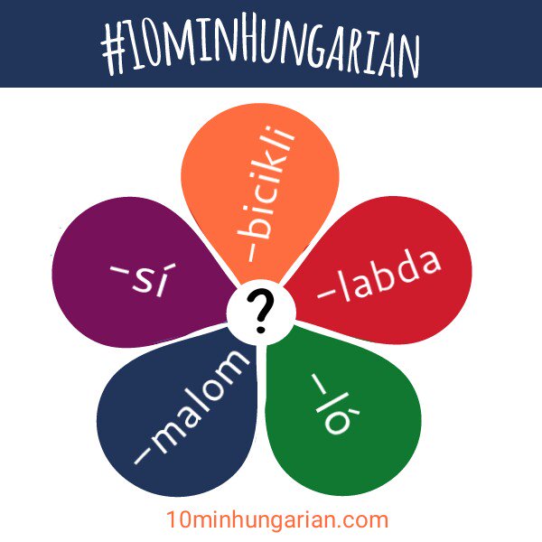 Find the first part of these words!
#10minHungarian #learnHungarian #teachyourself #HungarianVocabulary #wotd #languagelearning #5words