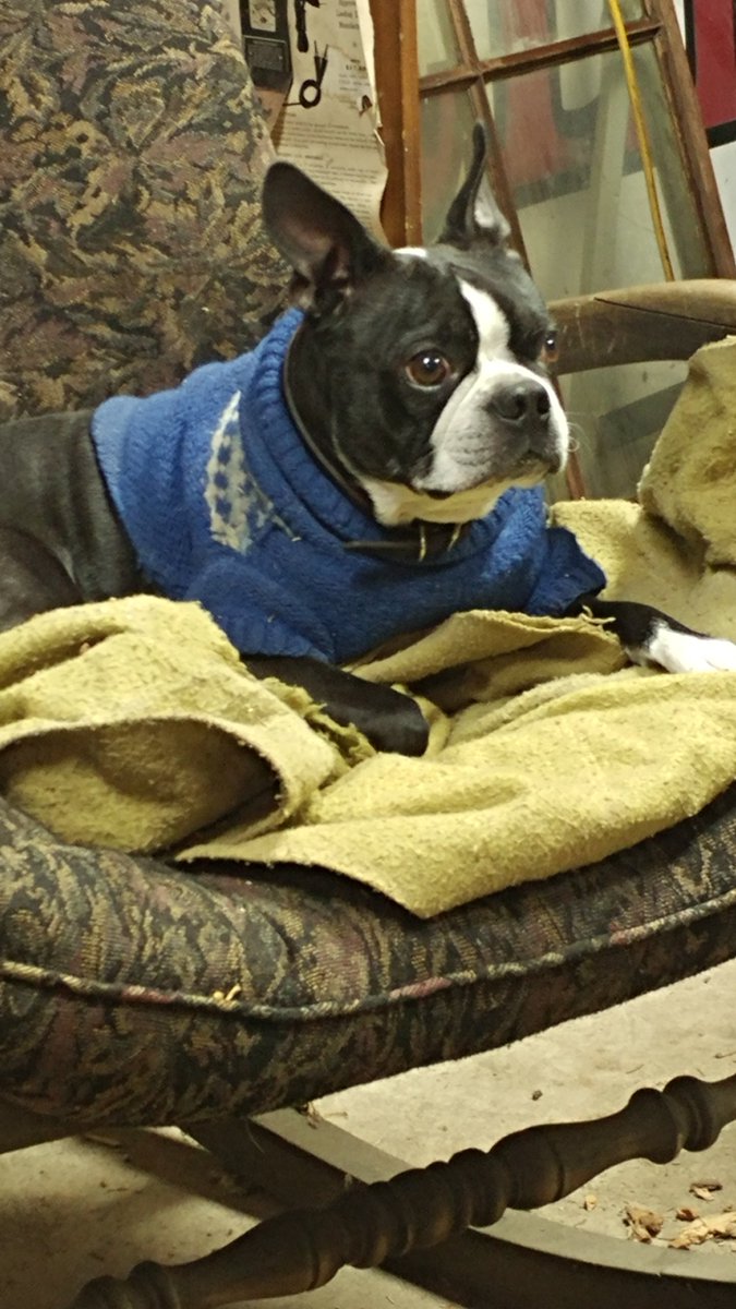 EDgregious's tweet image. Derby