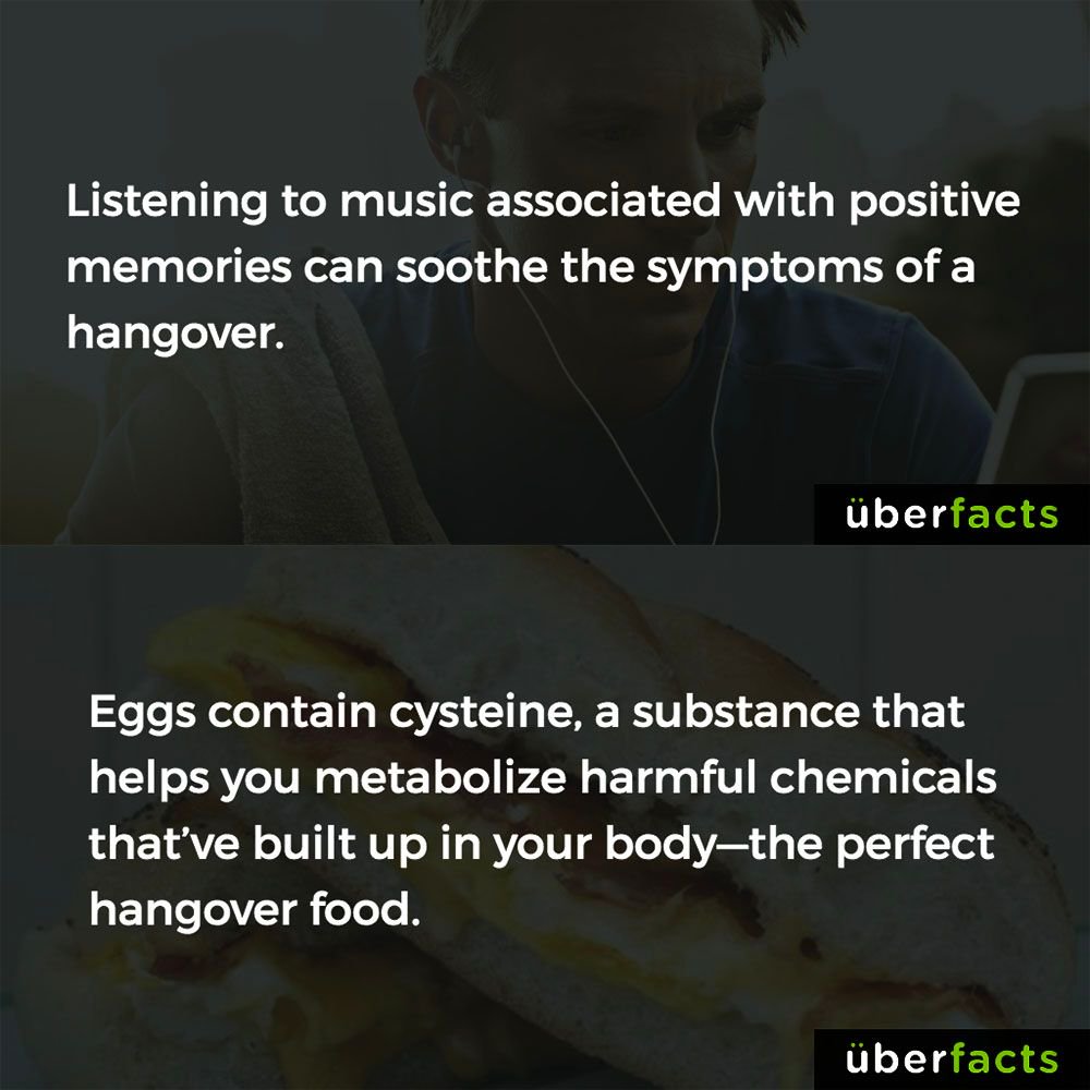 UberFacts's tweet photo. By request... https://t.co/uMfZ2P6sIj