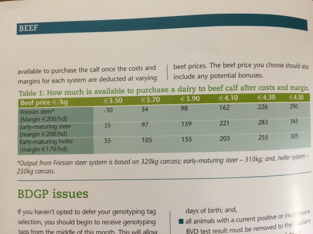 TeagascBeef's tweet photo. What calves are worth. This months @teagasc Beef Newsletter https://t.co/nJ0gGPhSAw