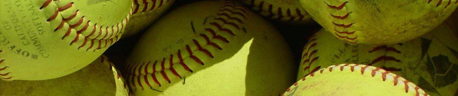 softballdish's tweet photo. 2017 NAGAAA Winter Meetings: Wrap Up https://t.co/2sOMiEhJ30 https://t.co/8dyTktfXk9
