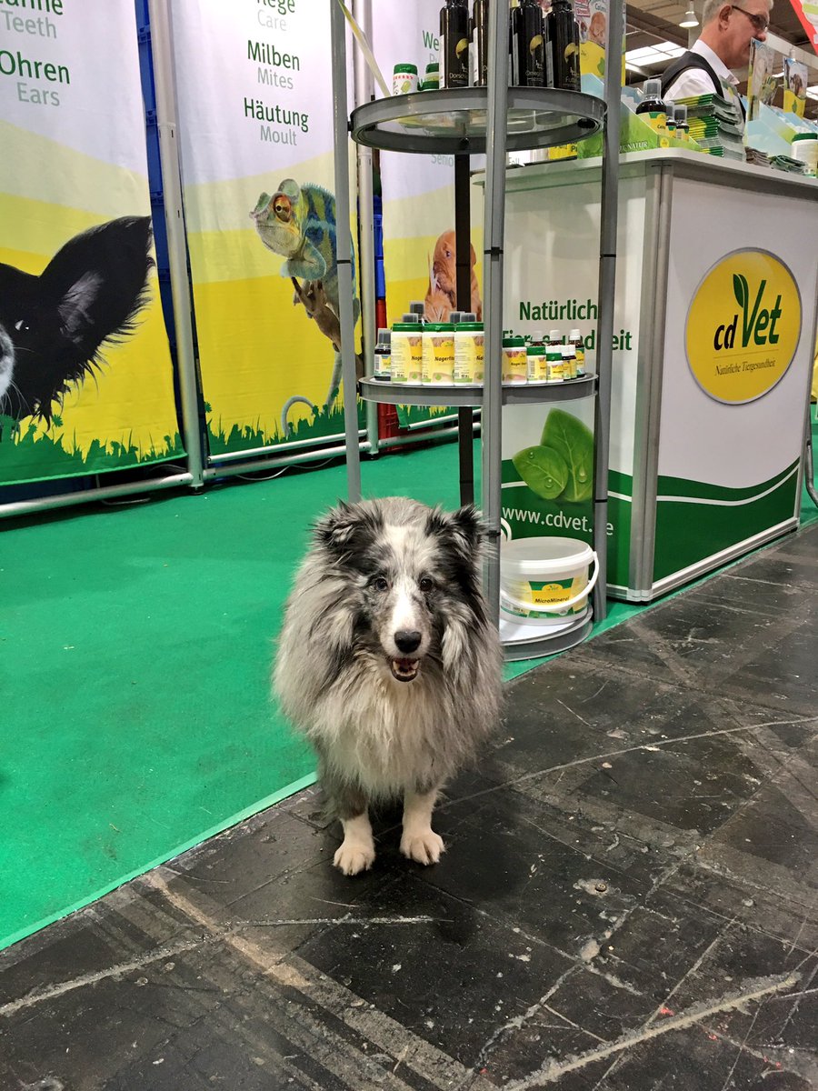_nadines_'s tweet photo. Tag 2 von 3 ist auch schon wieder vorbei!
Trefft uns morgen noch auf der ABF 2017 Messe Hannover in Halle 23!
#ABF2017 #Hannover #cdVet https://t.co/h8CU2eTlgM