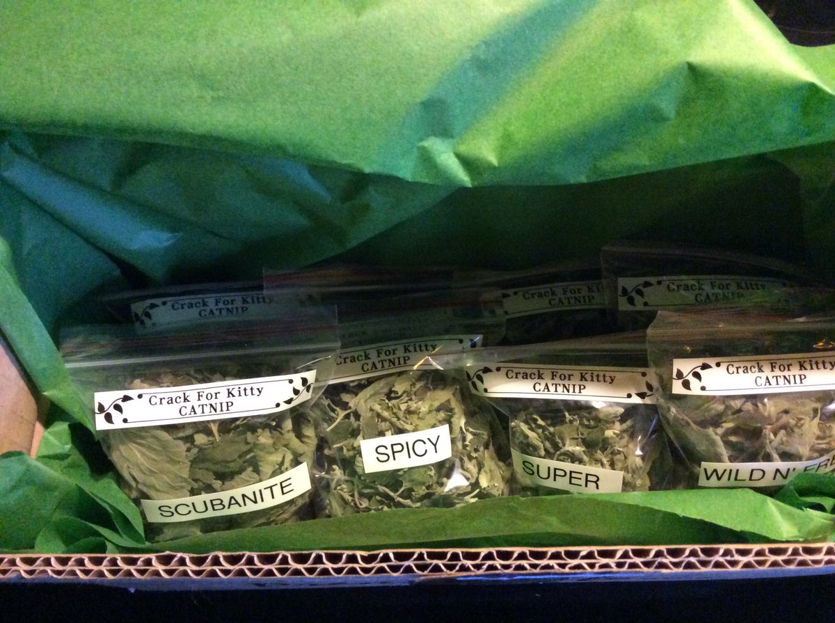 CrackForKitty's tweet image. Just shipped out a big order of #crackforkitty #catnip. Someone's kitties are going to be 'high' very soon😻