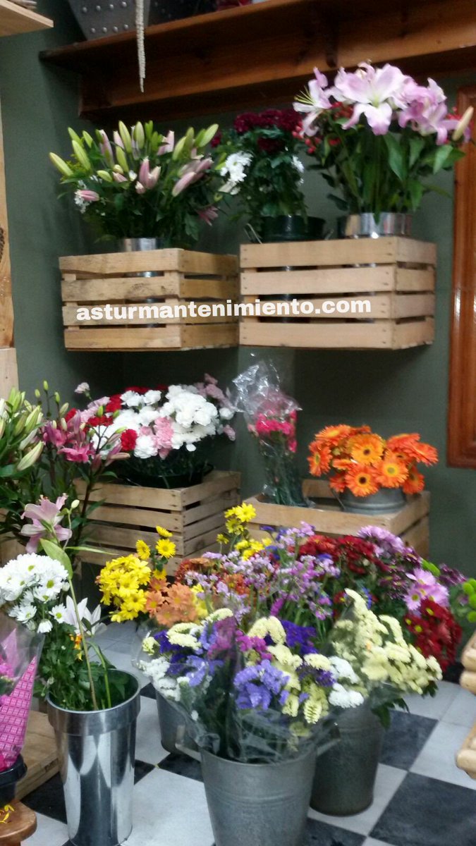 TecMantenimient's tweet photo. Instalación de cajas de madera en Flores Auro.
https://t.co/ngrRDLoyRf https://t.co/bITn4vB8Vc