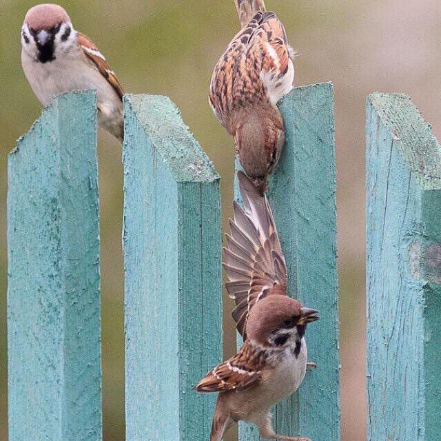 PhotoDeep's tweet photo. عندما ترتفع سيعرف أصدقائك من أنت ، ولكن عندما تقع ستعرف من هم أصدقائك . #بكلمتين_غرد #لو_العالم_يسمعك #الخليج_النصر #ما_هو_حلمك_في_كلمتين https://t.co/87GdhRl8Pl