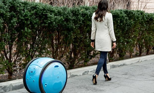 shaunwiggins's tweet image. #Piaggio&apos;s #CargoRobot Uses #VisualSLAM to Follow You Anywhere buff.ly/2k60a7N