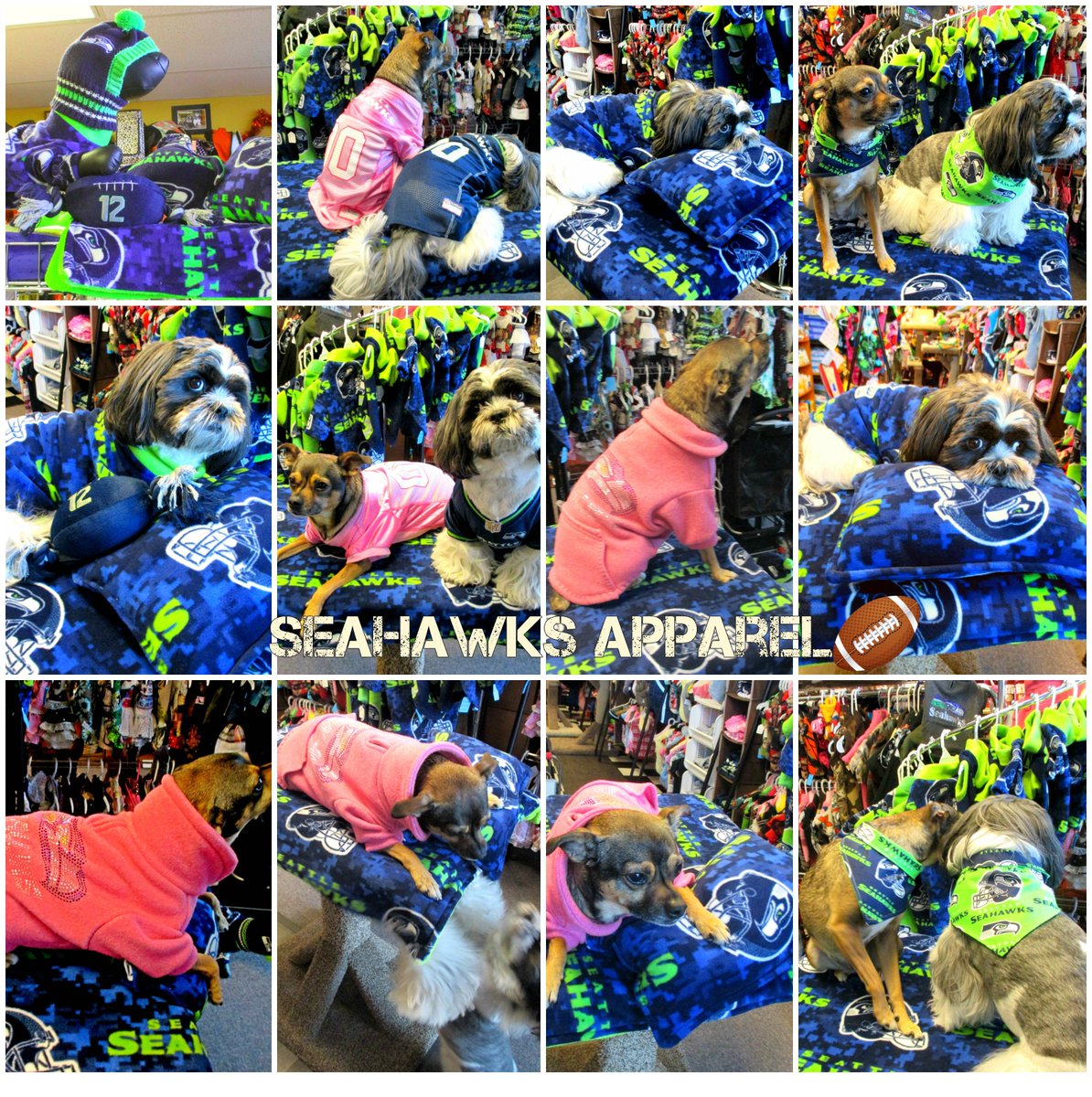 MaxsPetClothing's tweet photo. 50% off of ANYTHING SEAHAWKS! Today only!! #Seahawks #Superbowl #spokanedogs #dog #ilovedogs #sPOKANE #spokanewa #SpokaneStreets #ilovedogs https://t.co/29mI2kwWPO