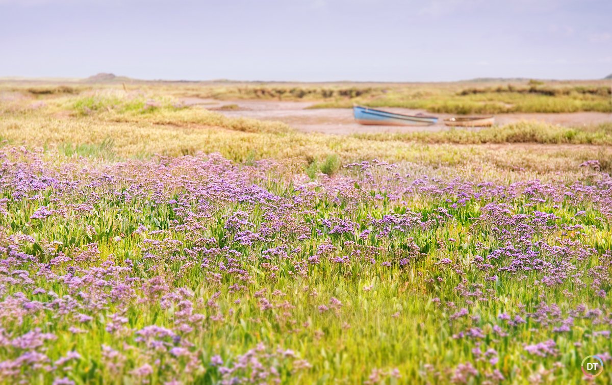 danieltink's tweet photo. Some highlights from my #landscape #photography collection. #Norfolk #NorfolkBroads #NorfolkCoast https://t.co/iWpVdmjRWl