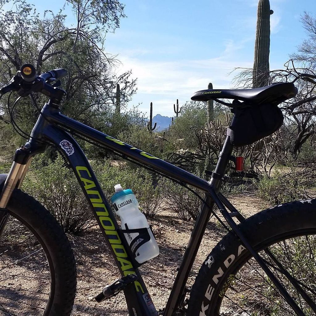FarEndGear's tweet photo. Got a quick ride in too. #mountainbiking #arizona #mtb #mtbarizona #saguaro #farendgear #s… https://t.co/VAEB2alBax https://t.co/i1Uim9Ga4t