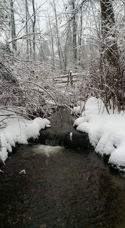 NoonsCreek's tweet photo. Just started snowing again in #portmoody  @TriCityNews @CKPM987 @AM730Traffic https://t.co/n0k1l30aeM