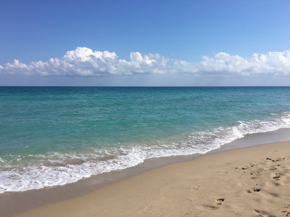 JessicaYevics's tweet photo. #FirstTweet #balharbour #mybackyard #WinterinMiami https://t.co/BbiFp1ut0y