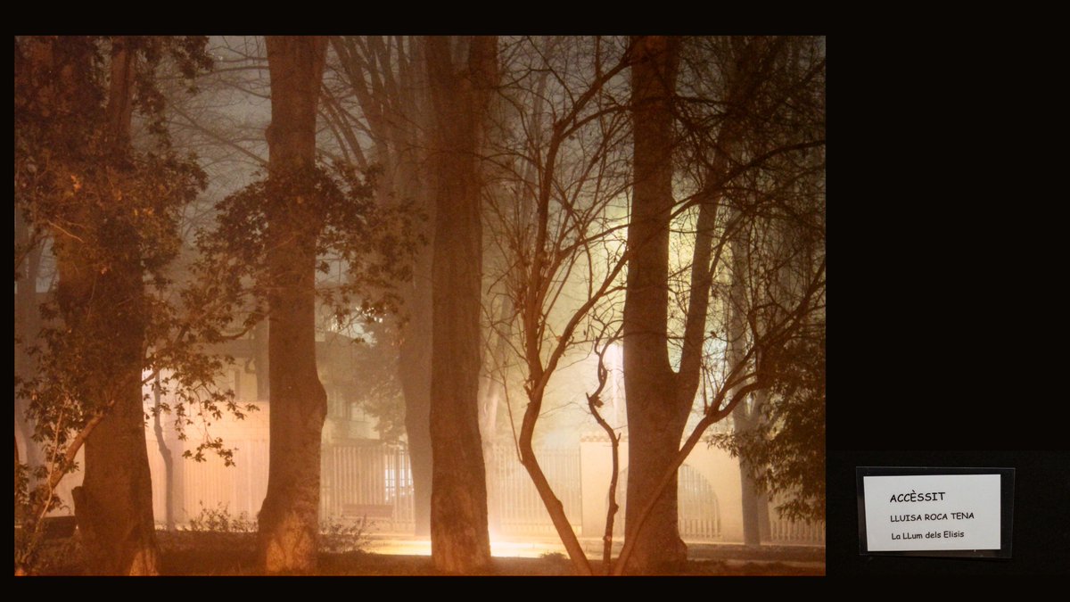 Resultat del IV Concurs de Fotografia del Cercle de Belles Arts de #Lleida i de l'Associació Arts de Ponent bit.ly/2kECpH9