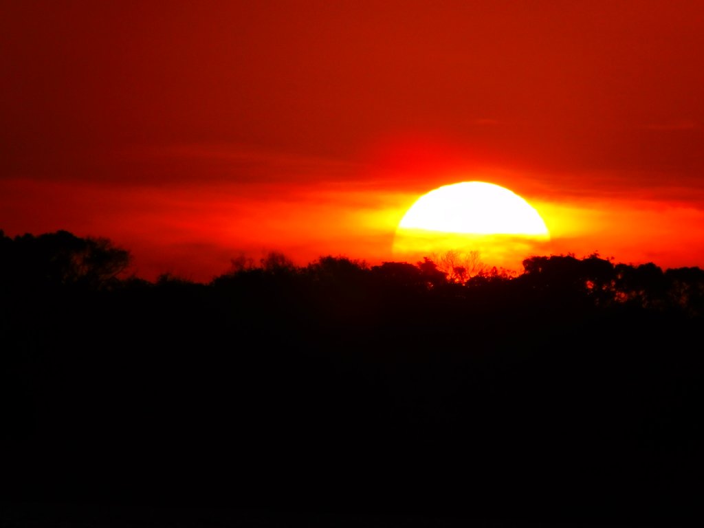 #photography #Nikon