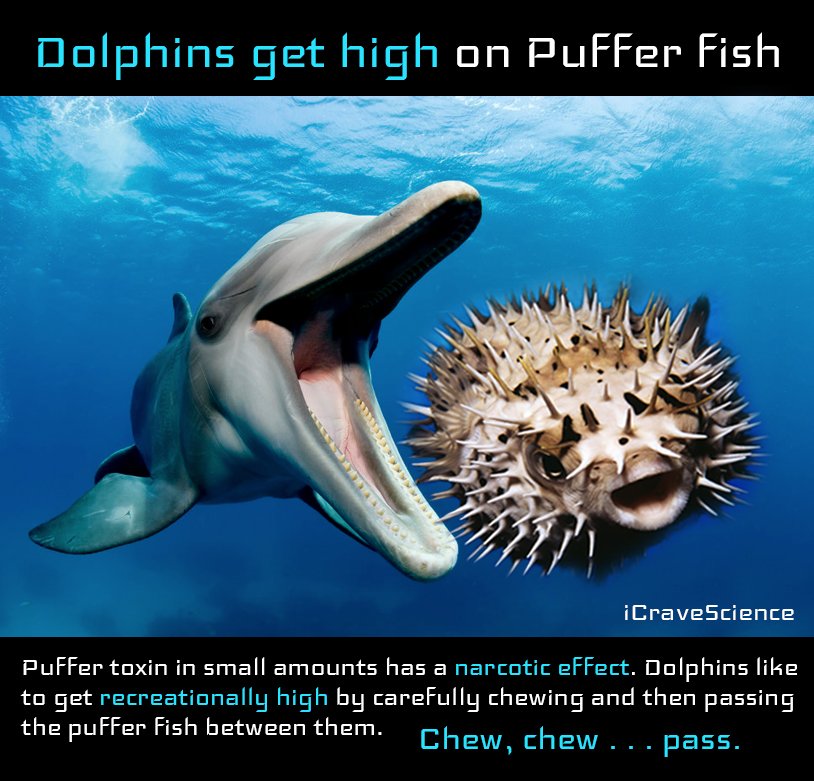 Both mattress marker pass the puffer juice accident Inform