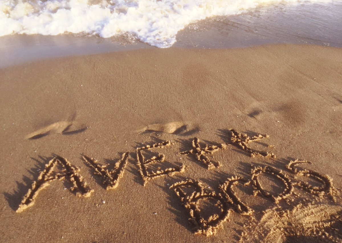 Ready for <a href="/theavettbros/">The Avett Brothers</a> ! Pompano Beach, FL 2017 #avettbrothers