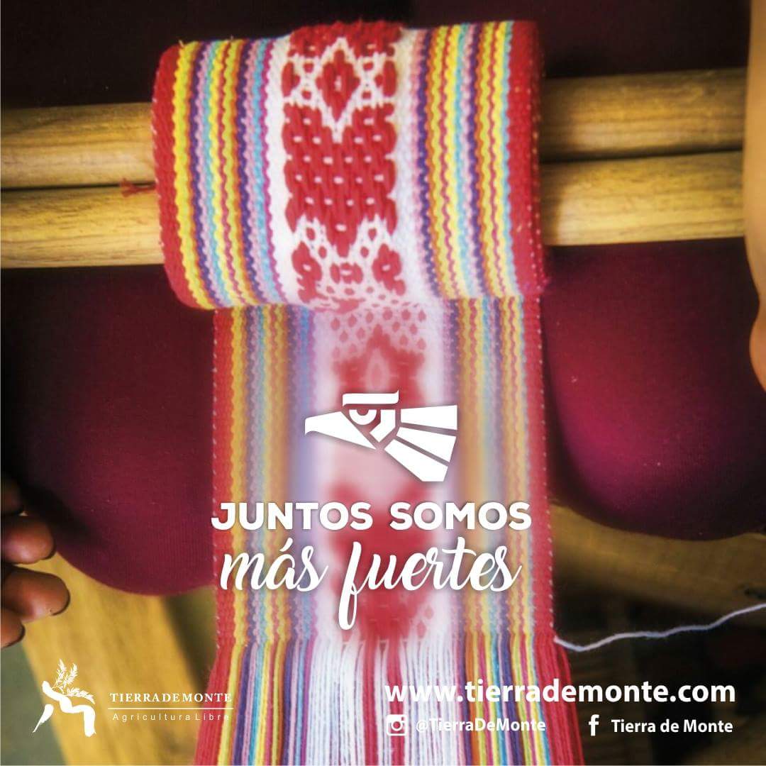 TierradeMonte's tweet photo. México es grande… cuando su pueblo se une, se logra lo impensable.

https://t.co/Wp1Aj4A65N
#tierrademonte #méxico #unión #somosmexicanos. https://t.co/sJnQaaPq5R