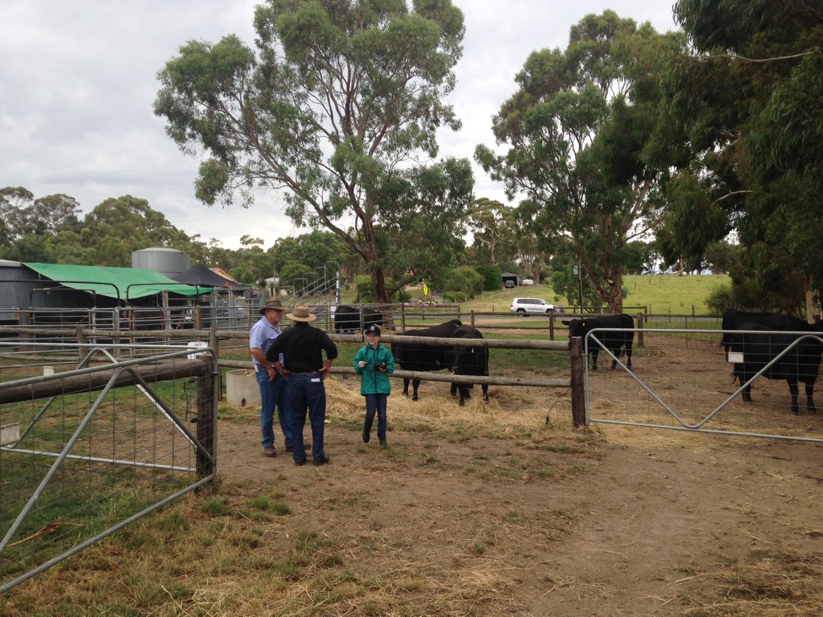 holmesdavid6's tweet photo. ANZ proud to be supporting Beef Field Days. Good being out on farm today. @wilsonsaAnz @Alan1Read @RadeskiStephen #sabeef https://t.co/FSEEDdXIiQ