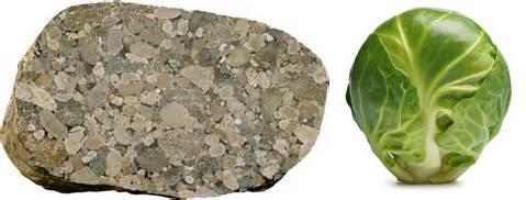 pubnames's tweet photo. The #Clast and #Sprout https://t.co/wLt4nd8QVD