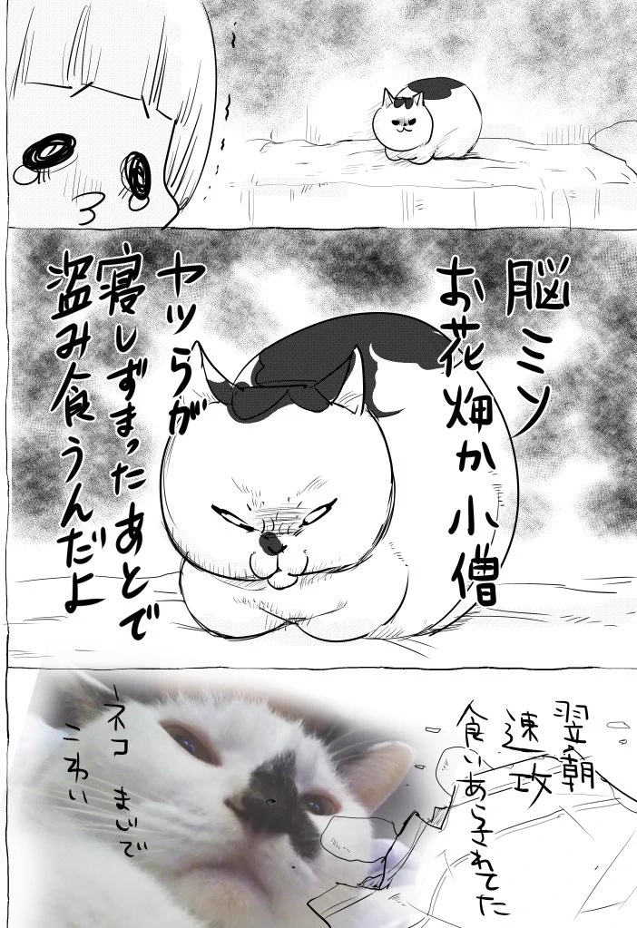 ペットを飼ってる人ならわかる？犬（天使）と猫（鬼畜）の違いｗｗｗ