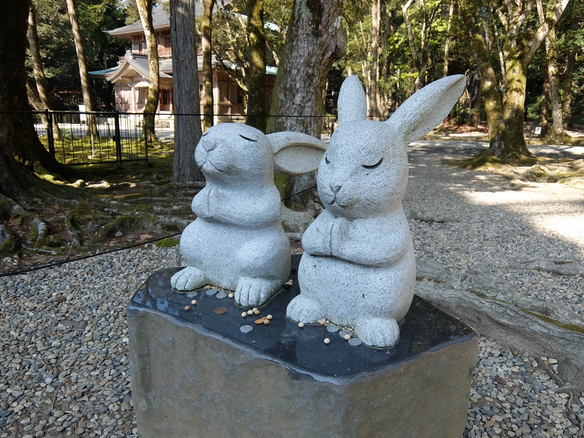 奈梨 出雲大社のうさぎ像 一枚目の祈ってるうさぎ可愛い T Co Qmvibzfq35 Twitter