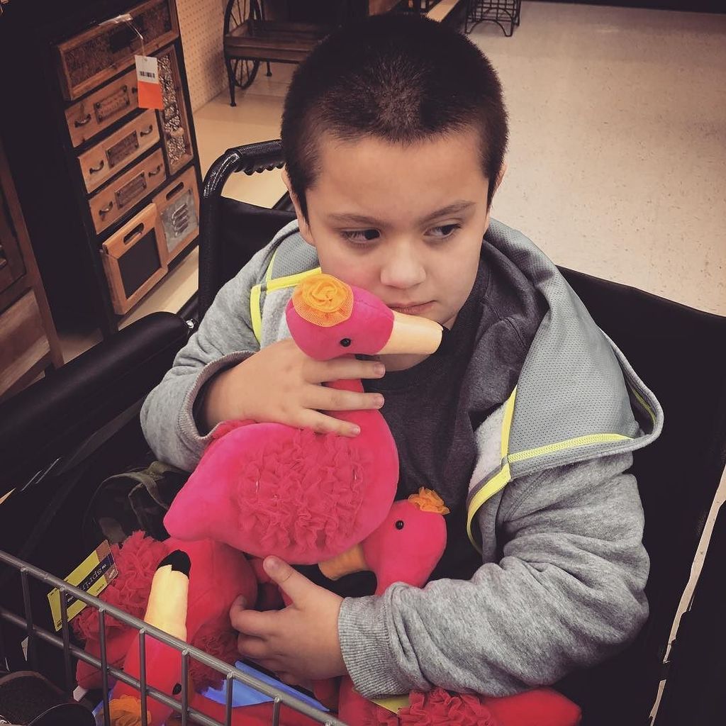 ksbowman's tweet photo. When you're drug into Hobby Lobby but you find some fancy flamingos. https://t.co/WOPYxTvajo https://t.co/CWNhqBPGt6