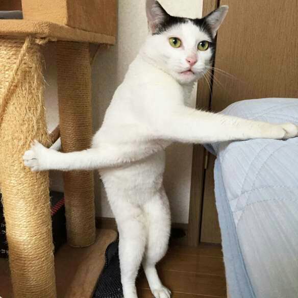 qnd me dá tontura e eu tento me segurar pra não cair