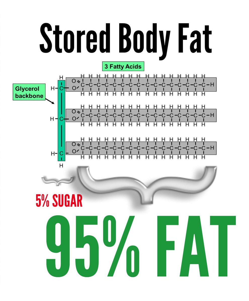 Tᕮᗪ ⚡️ ᑎᗩIᗰᗩᑎ on Twitter "No—you can only have about four teaspoons of