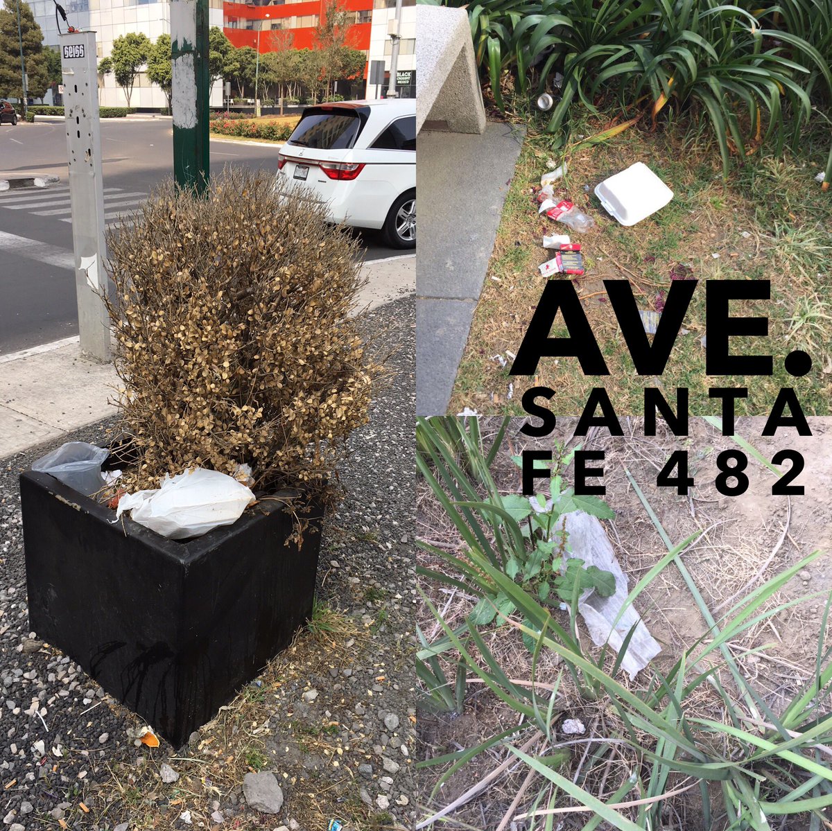 CityColonos's tweet photo. @CENTURIONES1  @navarrovazquez @StaFeVerde @WILLIECARR007 @ColonosSantaFe @ViveStaFe @Societa_SantaFe @GobCDMX @diario24horas https://t.co/inO01Po1j7