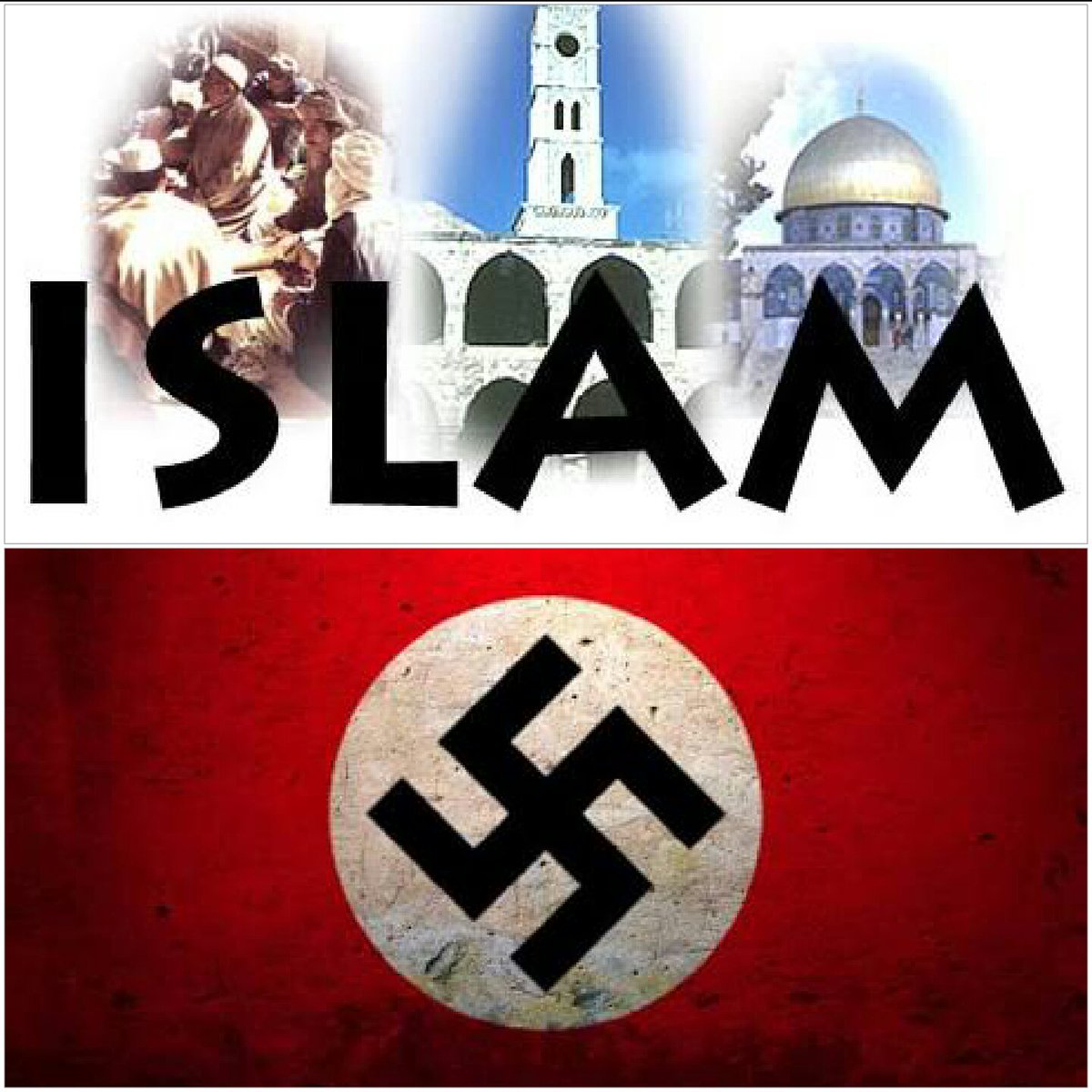 76_jeanette's tweet photo. Majority of Muslims admire Hitler
#FascistIslam #Nazis #Islam #fascistregime #IslamicDomination #IslamicState https://t.co/KKHrcnYuEW