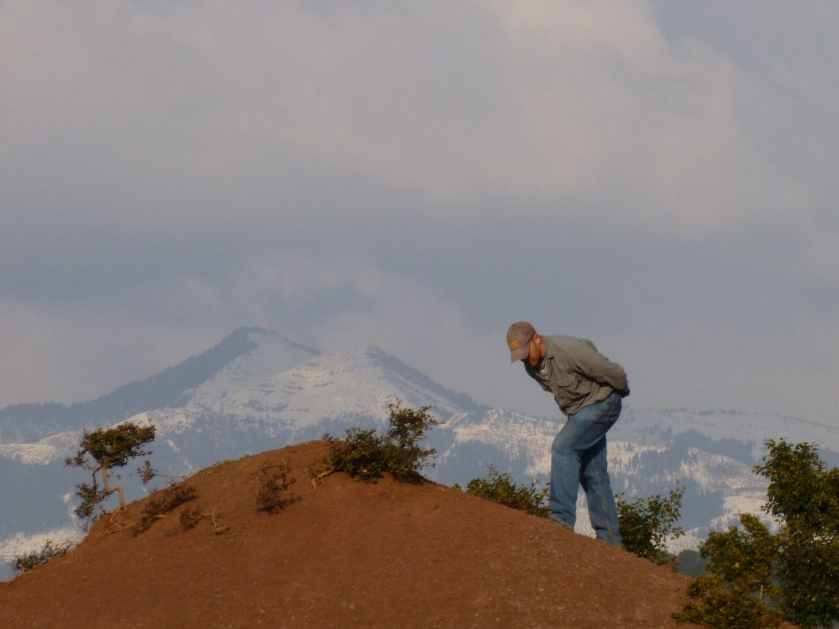 Christopher Gilbert tweet media